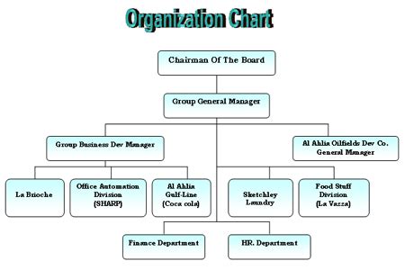 Org Chart For New Employees Org Chart Organizational Chart Organogram