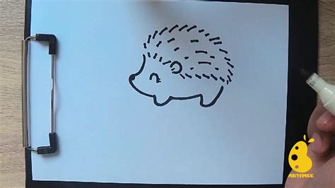 How To Draw Hedgehog Youtube