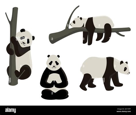 Ensemble Vectoriel De Pandas Dans Différentes Poses Illustrations De