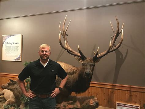 Largest Bull Elk Ever Taken In Montana Now On Display At Rmef