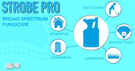 Quality and affordable pest management. Introducing Strobe Pro Broad Spectrum Fungicide