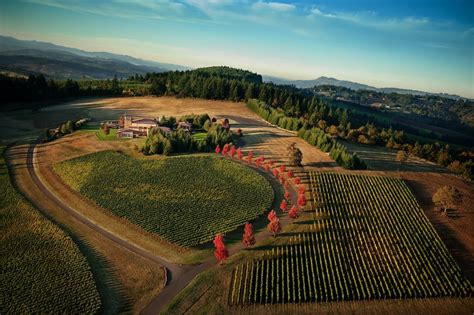 Dundee Oregon Wine Country Visitors Guide
