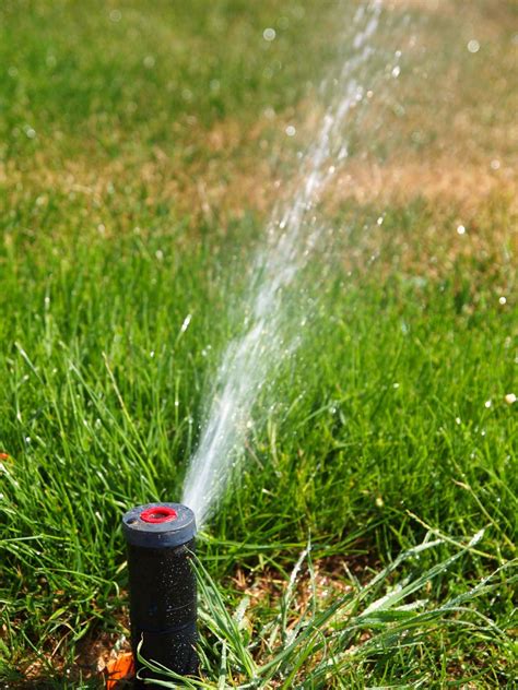 Wait until grass is dry and then irrigate deeply to wet the entire root zone. How to Repair Your Lawn Sprinkler | HGTV