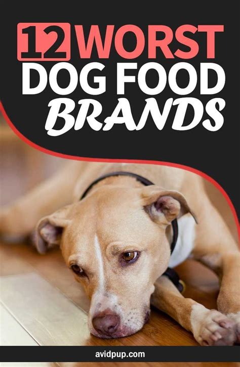 Cheapest dog foods contain corn, wheat & soy as fillers. 12 Worst Dog Food Brands to Avoid this Year - 2020 | Avid ...