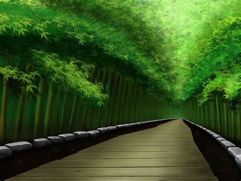 Bamboo Forest Hd Wallpaper Pixelstalknet