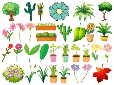 Different Types Of Plant In Clay Pots Stock Vector Image By