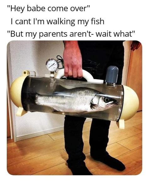He Really Is Walking His Fish Memes