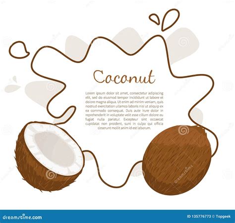 Kokosnuss Exotische Frucht Ganzes Geschnittenes Vektor Plakat Vektor Abbildung Illustration