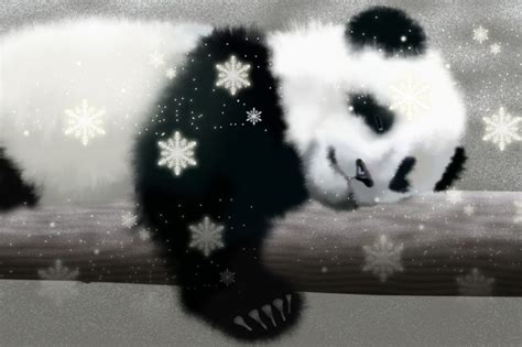 Panda Pandas Baer Bears Baby Cute 62 Wallpapers Hd Desktop And