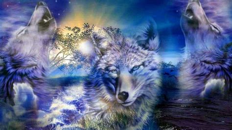 Wolf Hd 3d Wallpapers Wolf Wallpaperspro