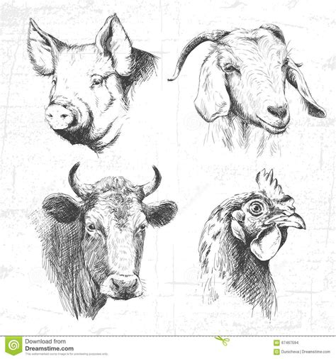 Download the perfect farm animals pictures. Farm Animals Vintage Set, Vector. - Download From Over 60 Million High Quality Stock Photos ...