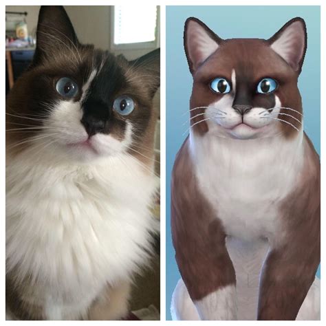 First Attempt At Making My Cat In Sims 4 The Colors Arent Perfect But