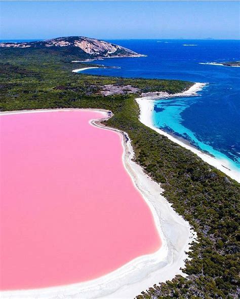 Lake Hillier West Australlia Você Sabia Que Existe Um Lago De águas Naturalmente Rosadas Sim