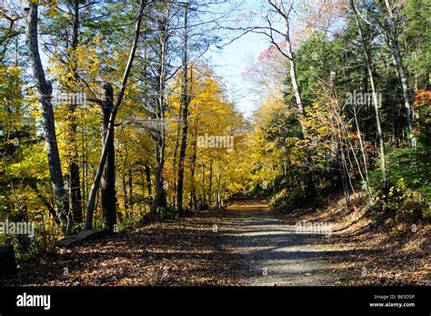 Fall In Connecticut Usa Forest Path Autumn Leaves Lovers Leap