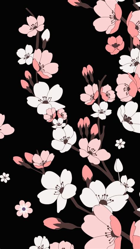 Arriba Imagen Japanese Cherry Blossom Black Background
