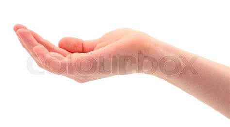 Woman Hand Isolated Stock Image Colourbox