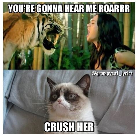 Katy Perry Grumpy Cat Roar Funny Grumpy Cat Memes Grumpy Cat Quotes
