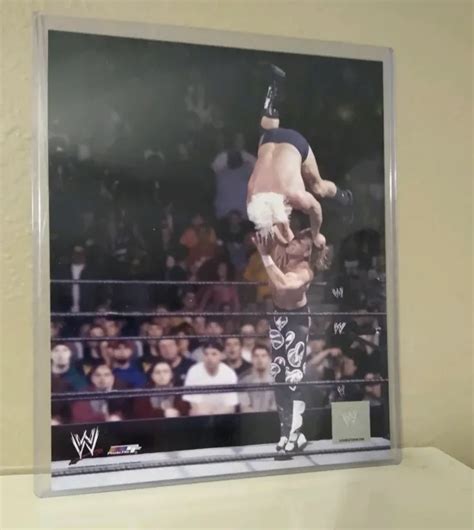 SHAWN MICHAELS VS Ric Flair 2003 Original Authentic WWE Promo Photo