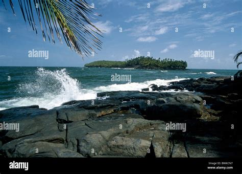 Devil Island French Guyana Iles Du Salut Rock Cliff Surf Island Isle
