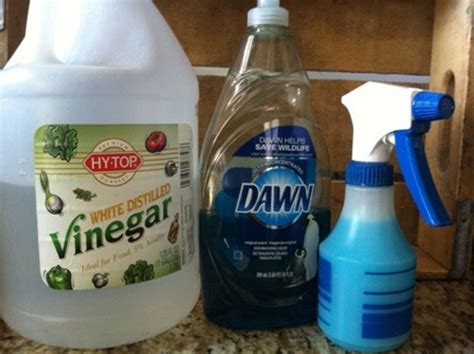 Blue Dawn And Vinegar Cleaning Solution Todays Mama