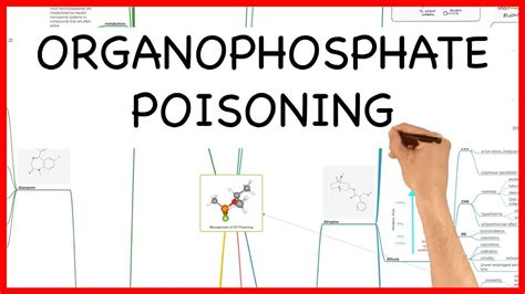 Organophosphate Poisoning Latest Version Pharmacology Series Youtube