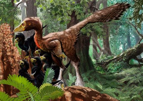 Troodons Tool Using Dinosaurs By Psithyrus On Deviantart