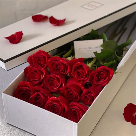 Brighton Florist One Dozen Rose Box Online Delivery Think Blooms