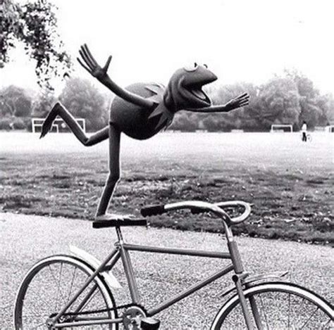 Frog On Bike Meme Name Davidchirot