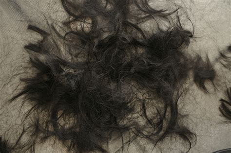 髪をバッサリ切った女子は本当に失恋したのか美容師が調査してみた くせ毛カット美容室