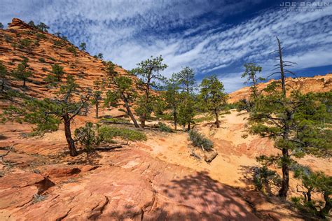 Joes Guide To Zion National Park Squirrel Canyon To Water Canyon