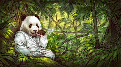 Panda Jungles Cigars Tuxedo Wallpapers Hd Desktop And
