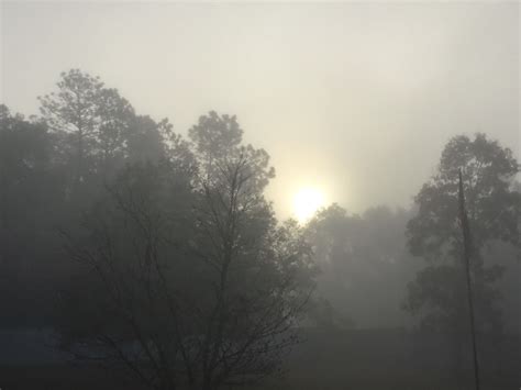 Sun Shining Through Morning Fog Over Ocala Ocala
