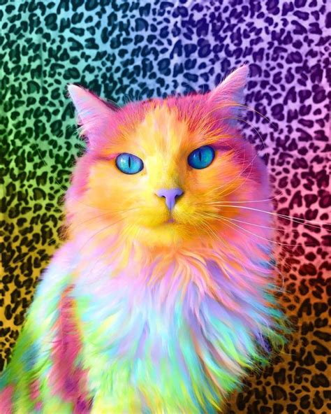 Colorful Cat Cute Little Animals Colorful Animals Rainbow Cat
