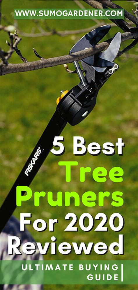 5 Best Tree Pruners For 2020 Reviewed Ultimate Buying Guide