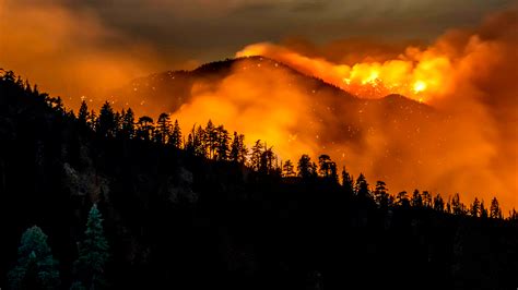 As Wildfires Continue In Western United States Biologists Fear For