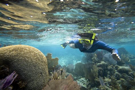 The Clearest Snorkeling Waters In Belize Desertdivers