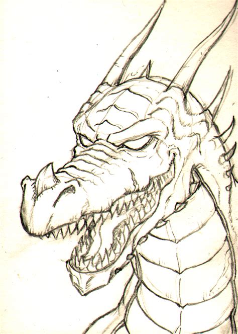 Dragons Head Drawing At Getdrawings Free Download