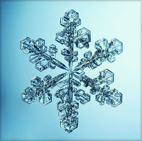 Kichigin Sergey Snow Crystal Snowflakes Winter Light