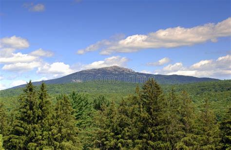Mount Monadnock Stock Photo Image Of Forested Trees 1120330