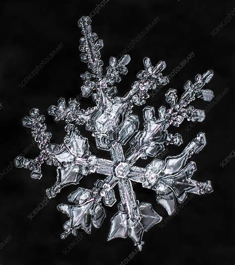 Snowflake Stock Image C0285888 Science Photo Library