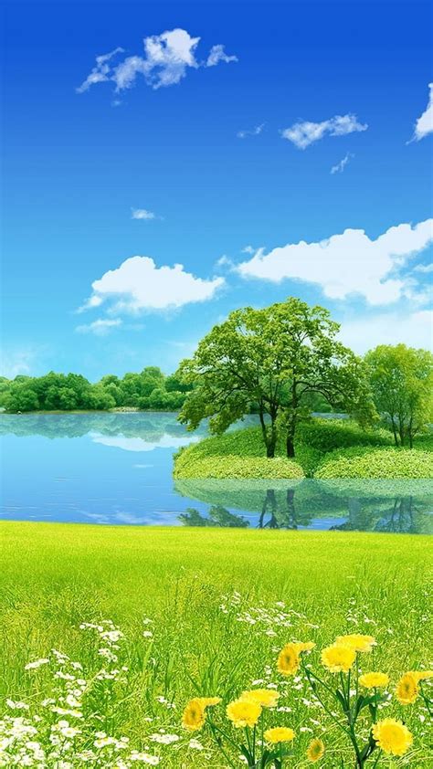 Incredible Compilation Of 999 Full 4k Nature Background Images