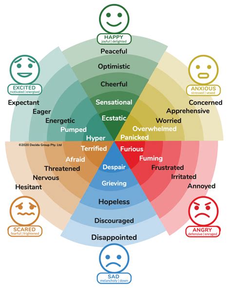 5 Level Emotion Wheel Decida