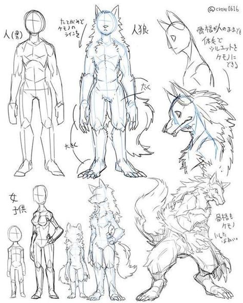 How To Draw Furry Body Warehouse Of Ideas