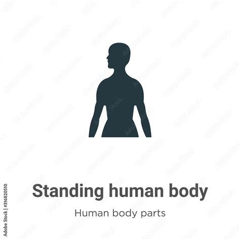 Standing Human Body Glyph Icon Vector On White Background Flat Vector