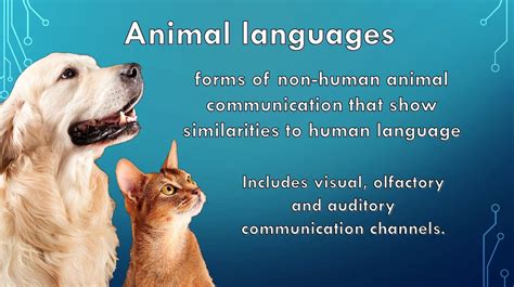 4 Types Of Animal Communication Ppt