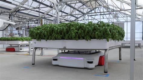 California Startup Uses Robots In Greenhouses To Grow Crops Planten