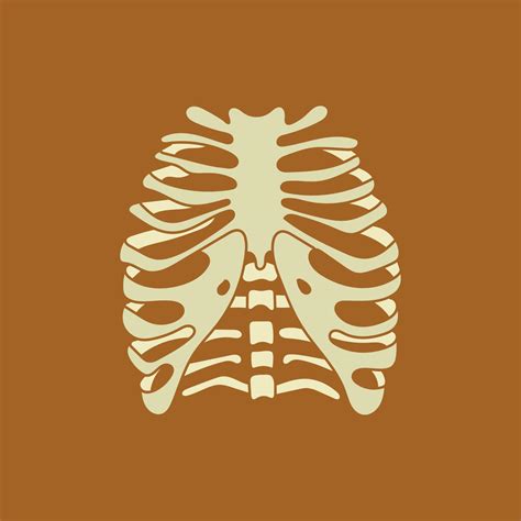 Human Chest Isolated Vector Illustration In Vintage Style Ribs And