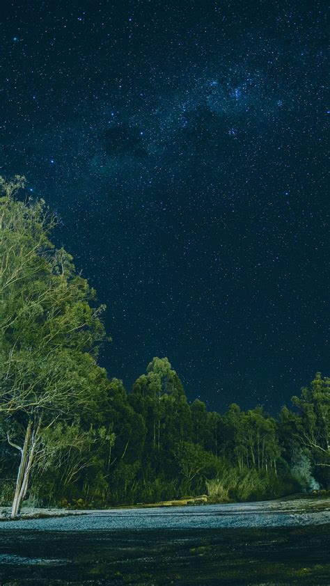 Galaxy Forest Wallpapers Top Free Galaxy Forest Backgrounds