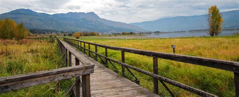 Brown Wooden Bridge Beside Green Grass Field Hd Wallpaper Wallpaper Flare