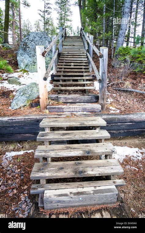 Old Wooden Stairs At A Forest Park Stock Photo Alamy